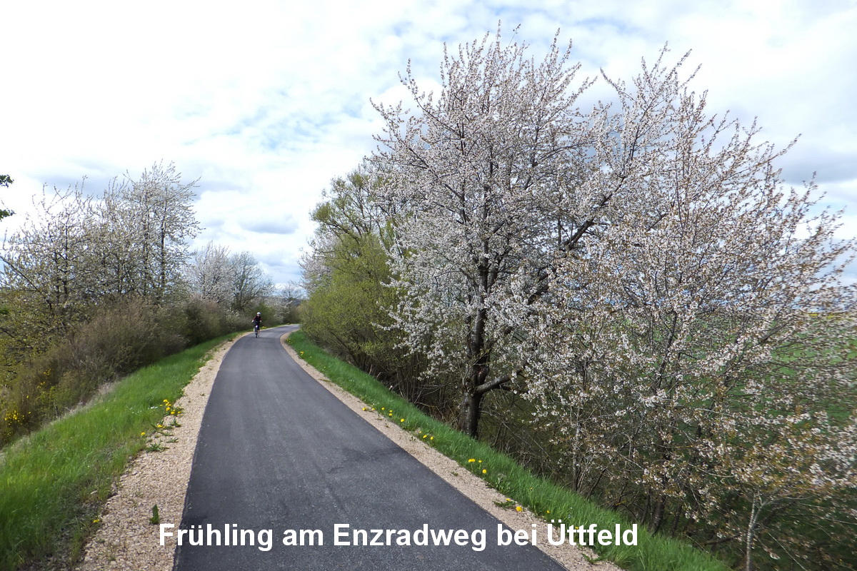 Enzradweg Frühling Üttfeld